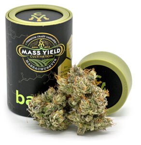 Photograph of product: Candy Rain - 3.5g