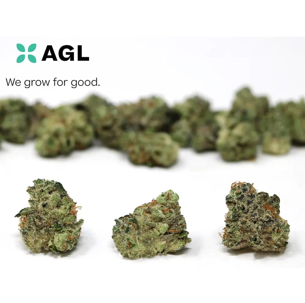 Photograph of product: Rythm 14g Mixed Buds Headcracker (I) 00843