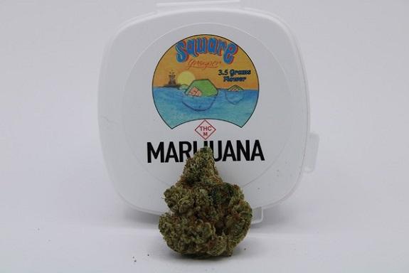 Photograph of product: Square Grouper | Blue Cookies - 3.5g