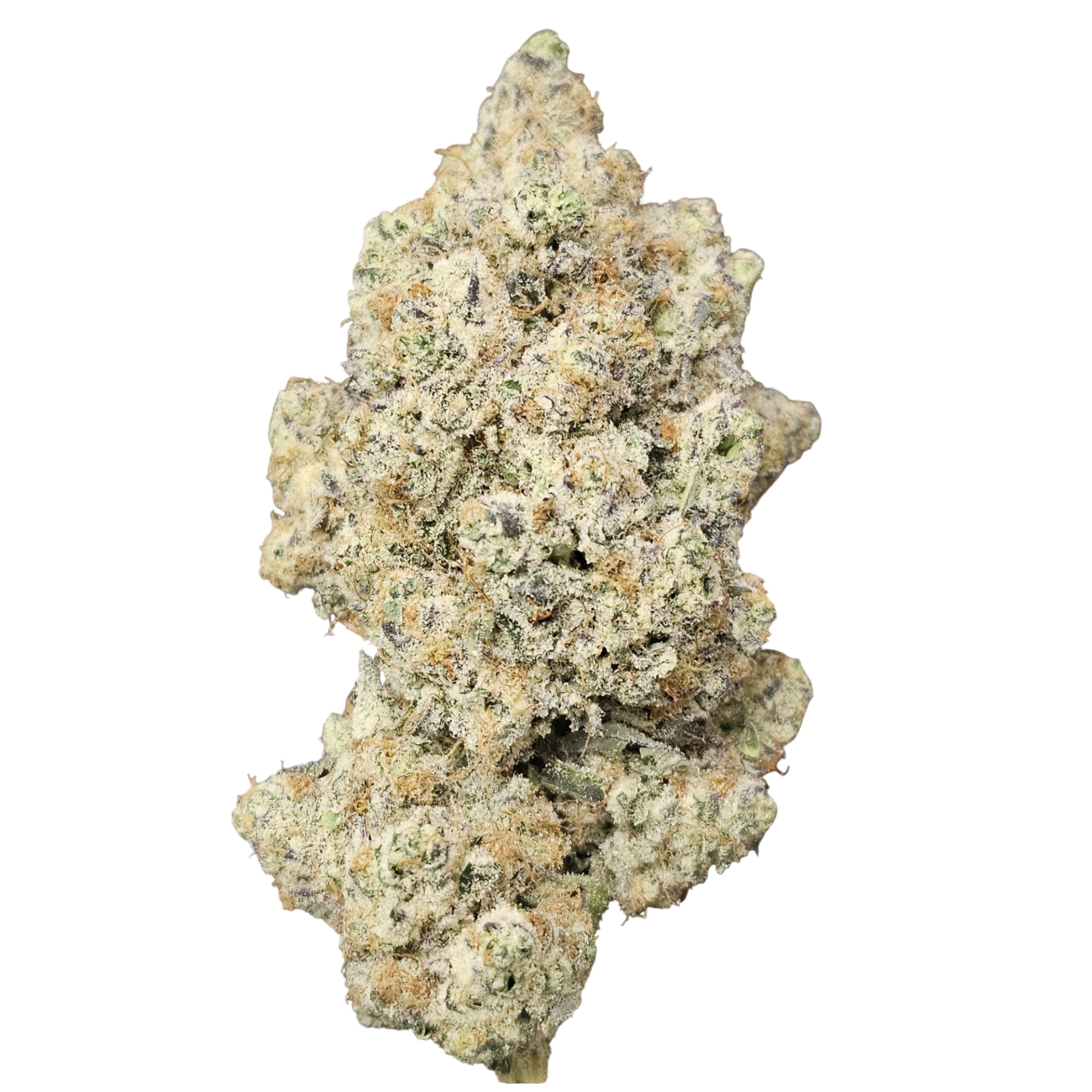 Photograph of product: DR. JC's Exotics Frosted Boof Buds - 28g