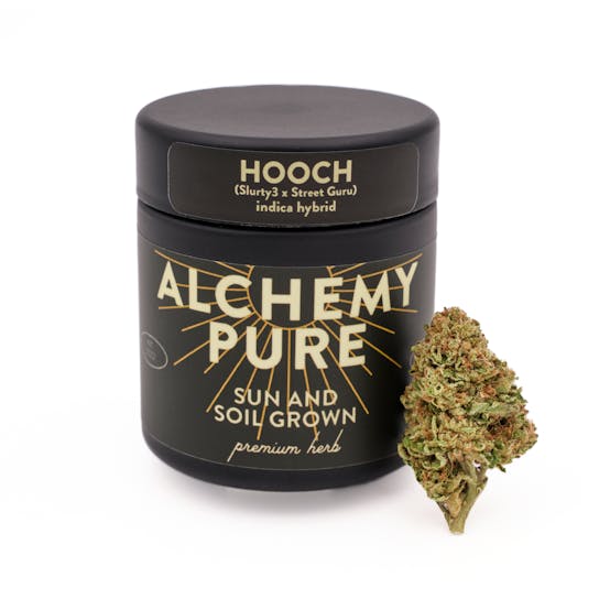 Photograph of product: Alchemy Pure | 3.5g Flower | Hooch