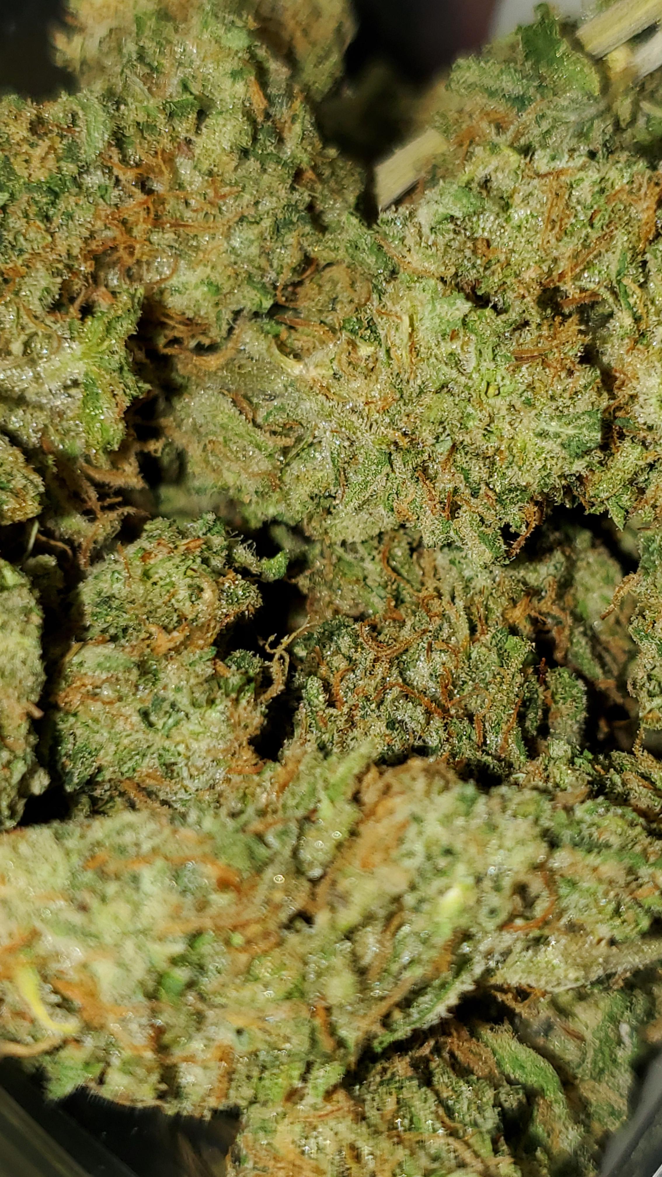 Photograph of product: Meringue | 1g | Trees co