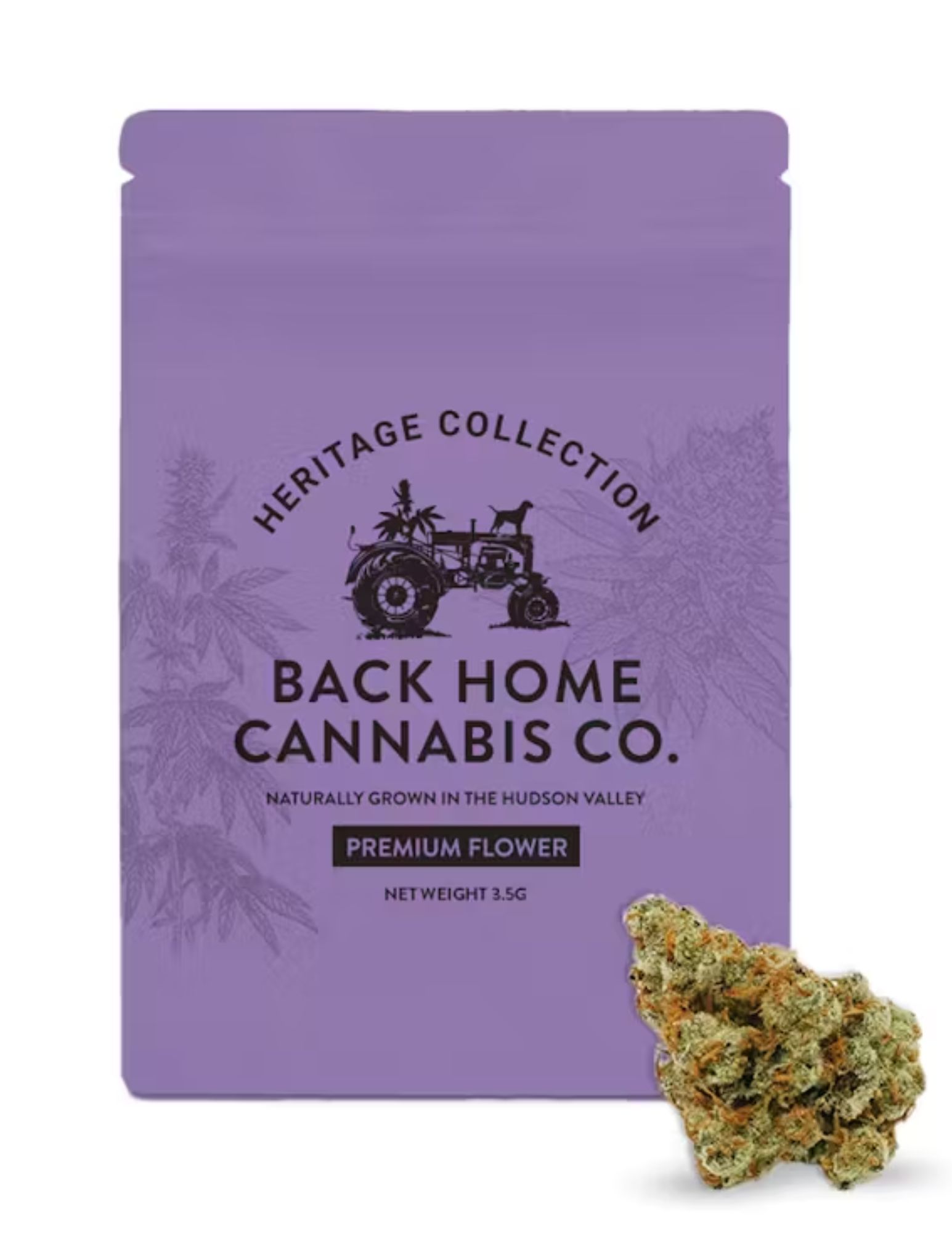 Photograph of product: Back Home Oui'd Co. | 3.5 Flower Bag | Northern Lights - 3.5g