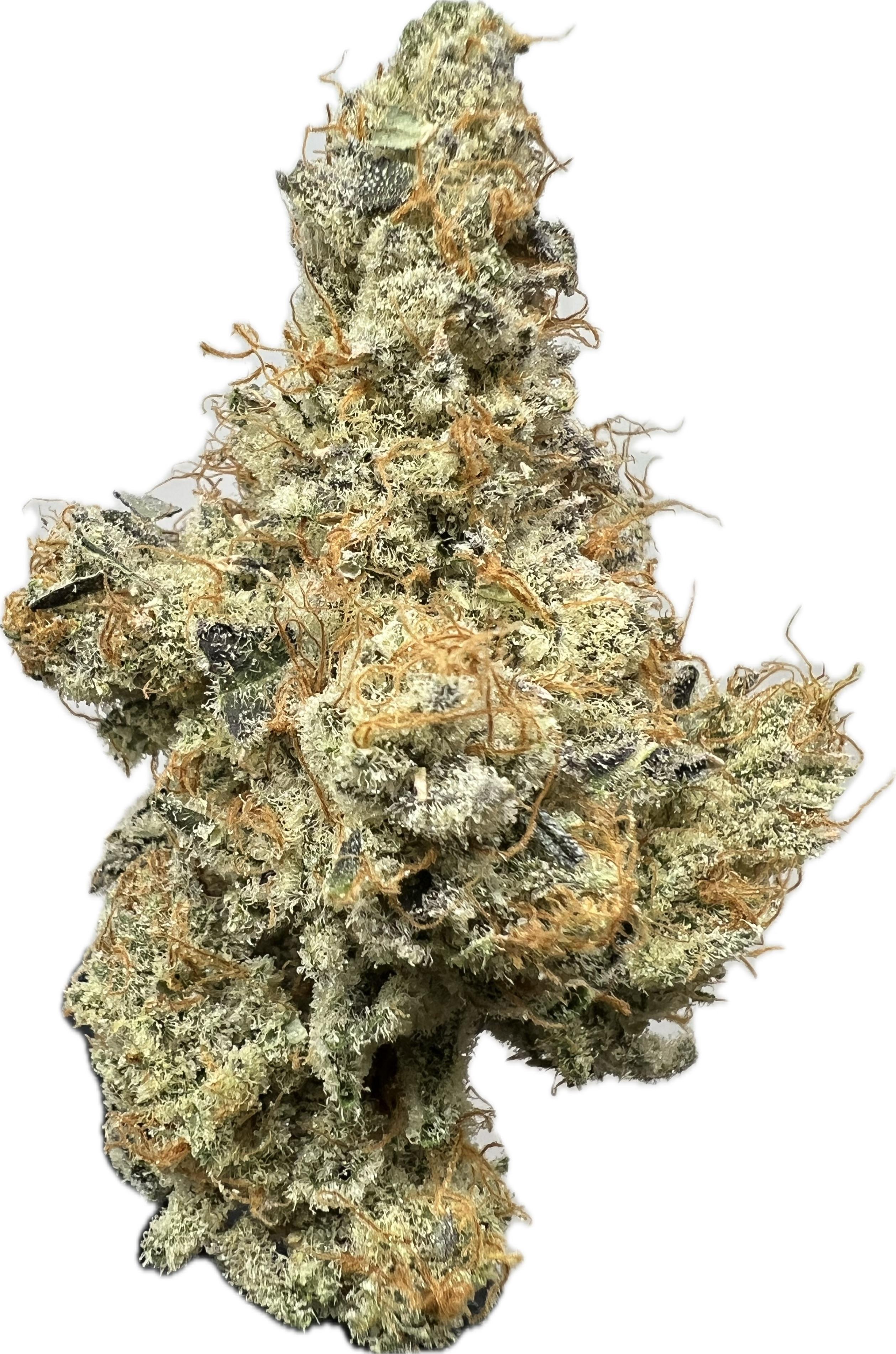 Photograph of product: Platinum Sugarcane | Frosted Farms - 28g