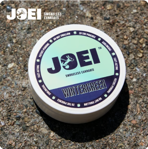 Photograph of product: JOEI | Wintergreen TH-oui Pouch | 100mg