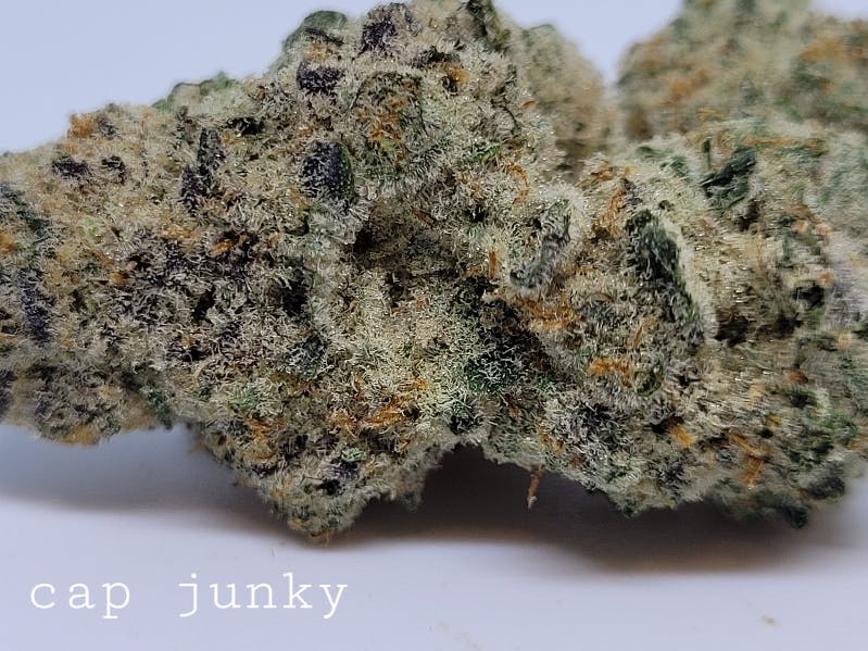 Photograph of product: Cap Junky 37% by Skunkworks