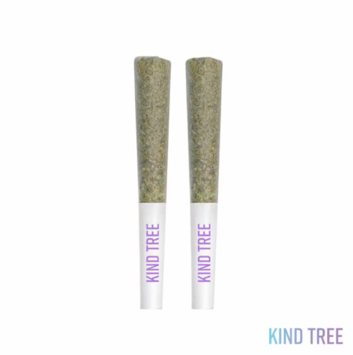 Photograph of product: 2 Pack PreRolls - Lemon Cherry Sherbert - Kind Tree - REC