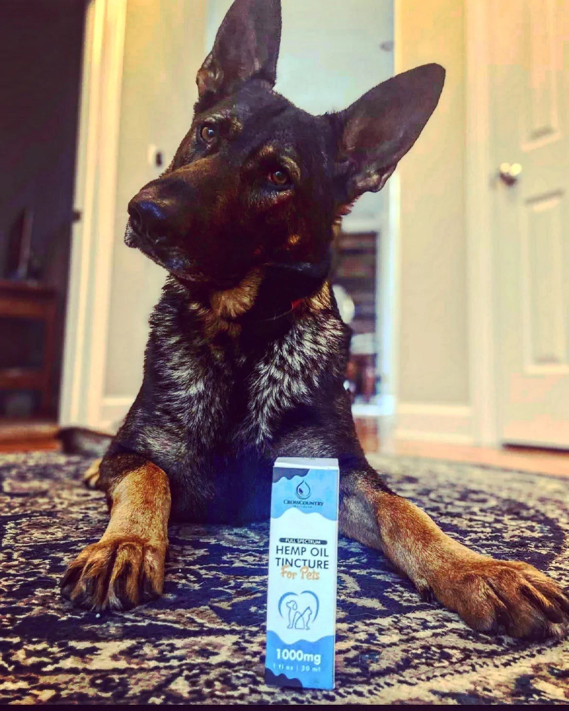 Photograph of product: 1000mg Full Spectrum Hemp CBD Oil for Pets - CCW