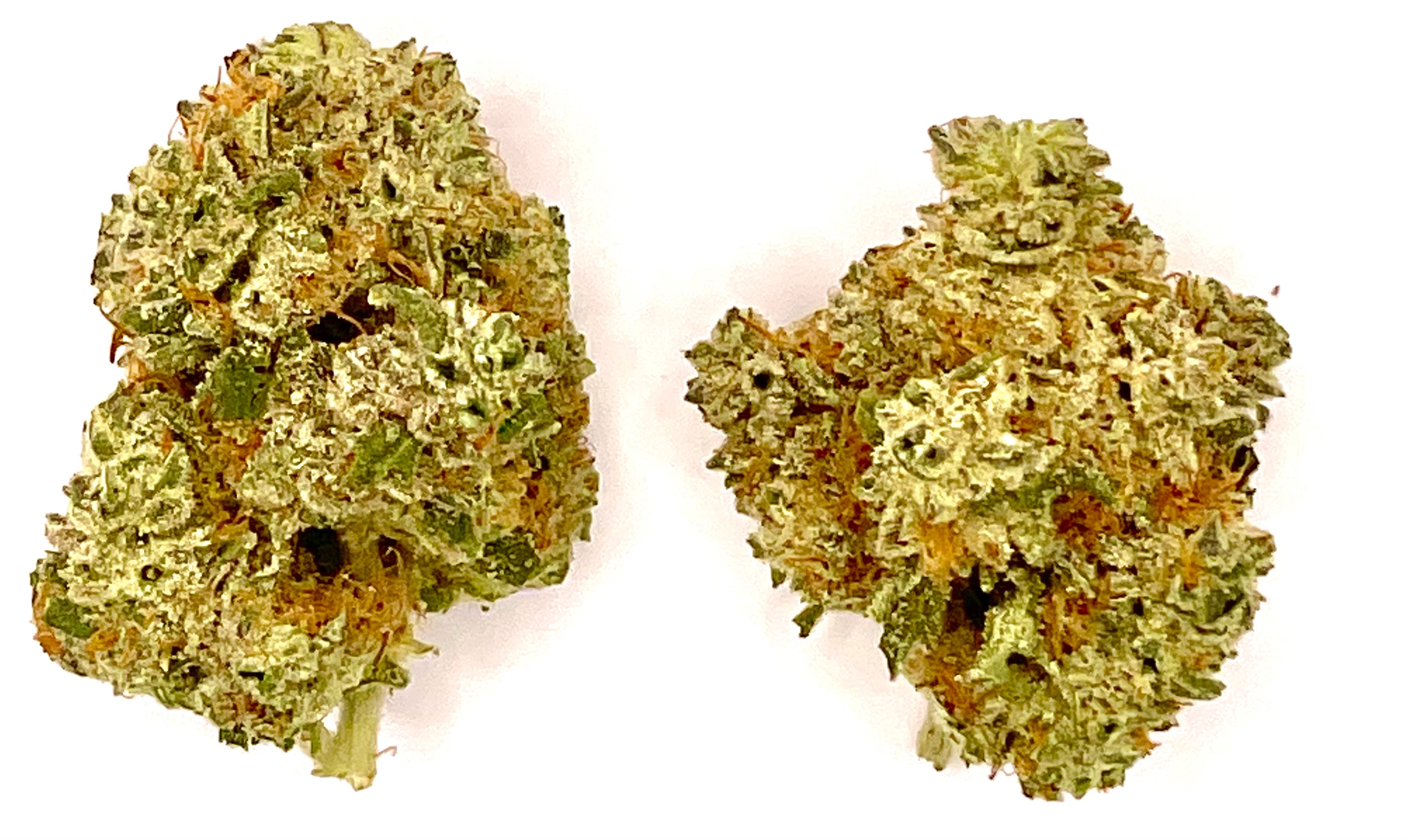 Photograph of product: Buds | Durban Poison - 1g