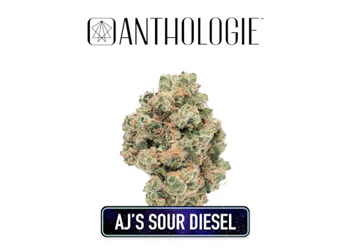 Photograph of product: AJs Sour Diesel I 3.5g Flower I Anthologie