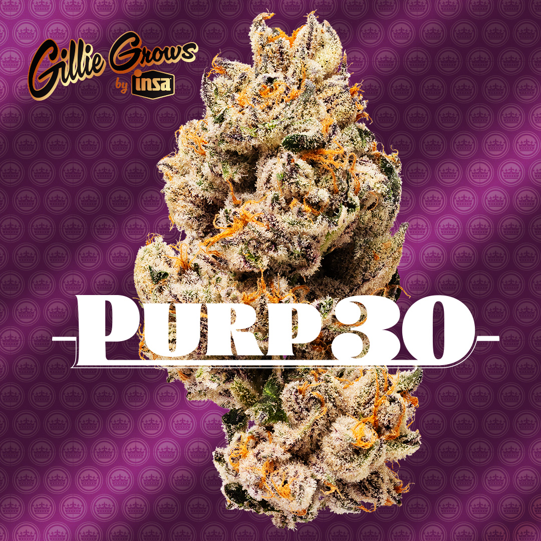 Photograph of product: Gillie Grows by Insa Purp 30 3.5g