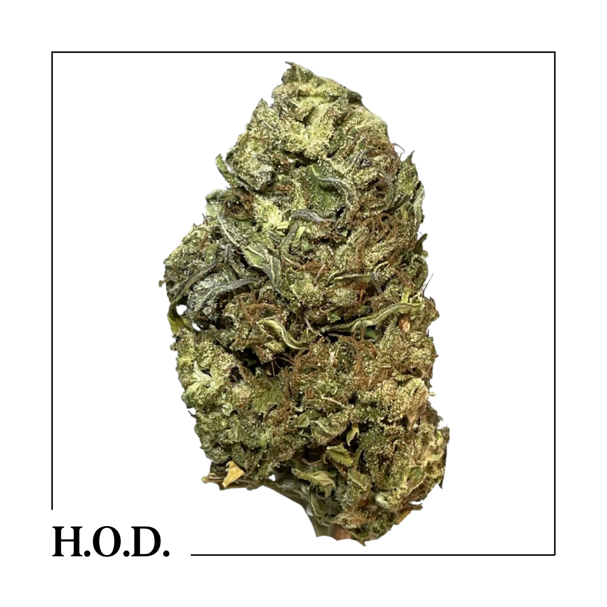 Photograph of product: Mango Mintz 28g