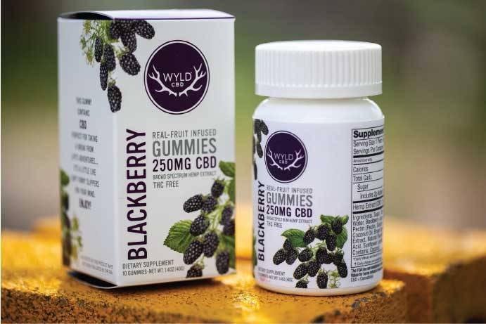 Photograph of product: CBD Gummies | Blackberry | 10-Pack