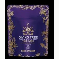 Photograph of product: Giving Tree Gardens | Orange Tree | 3.5g