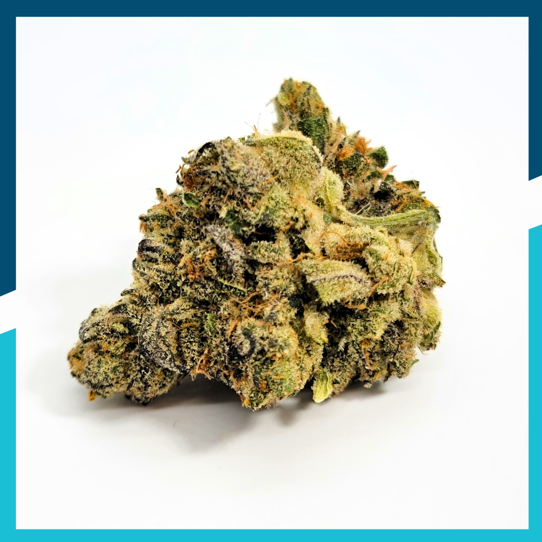Photograph of product: Honey Banana x RJ #8 | Flower | Unwind - 3.5g