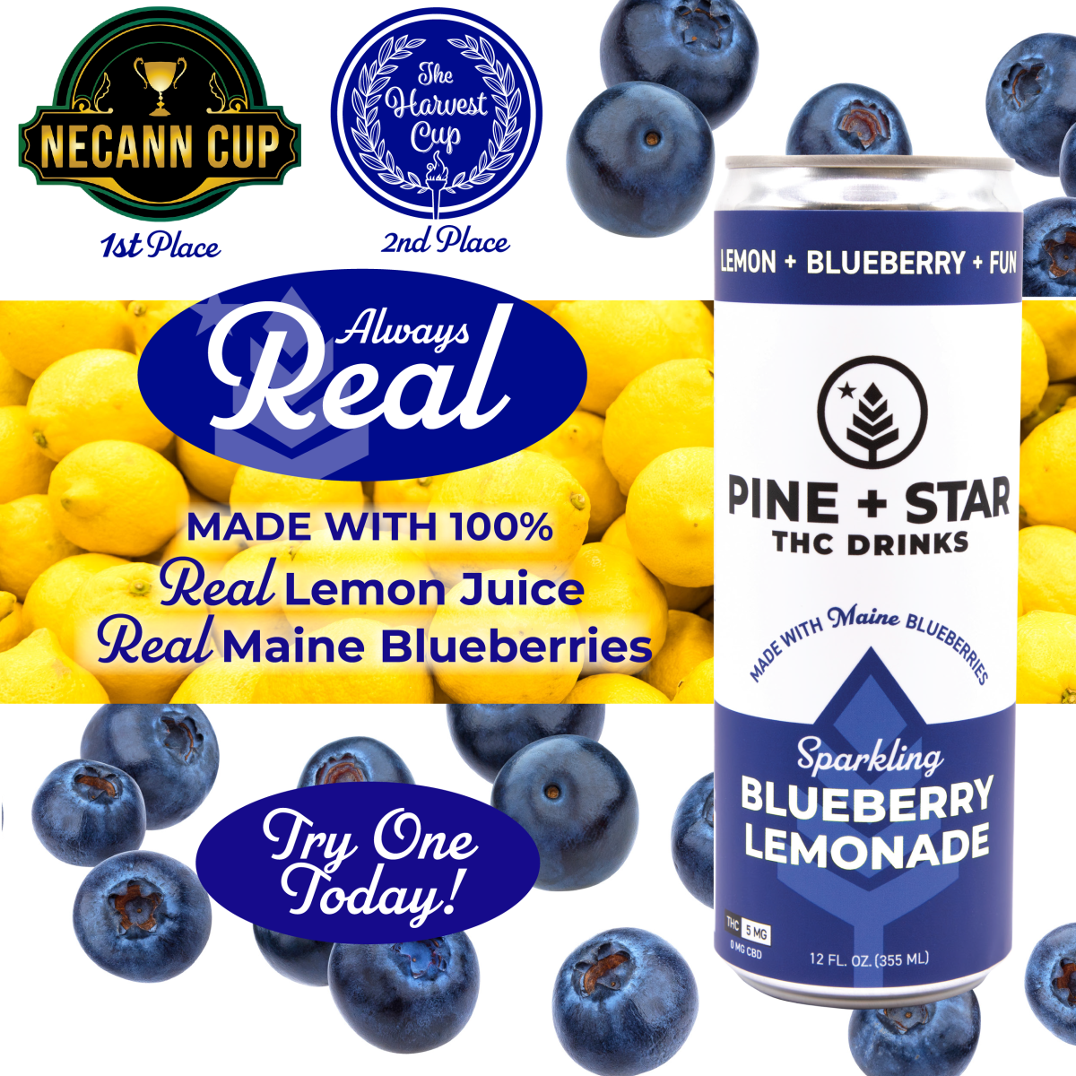 Photograph of product: Sparkling Blueberry Lemonade | TAX INCLUDED