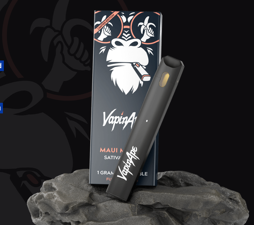 Photograph of product: Maui Mango | Full Spectrum | Disposable | 1g