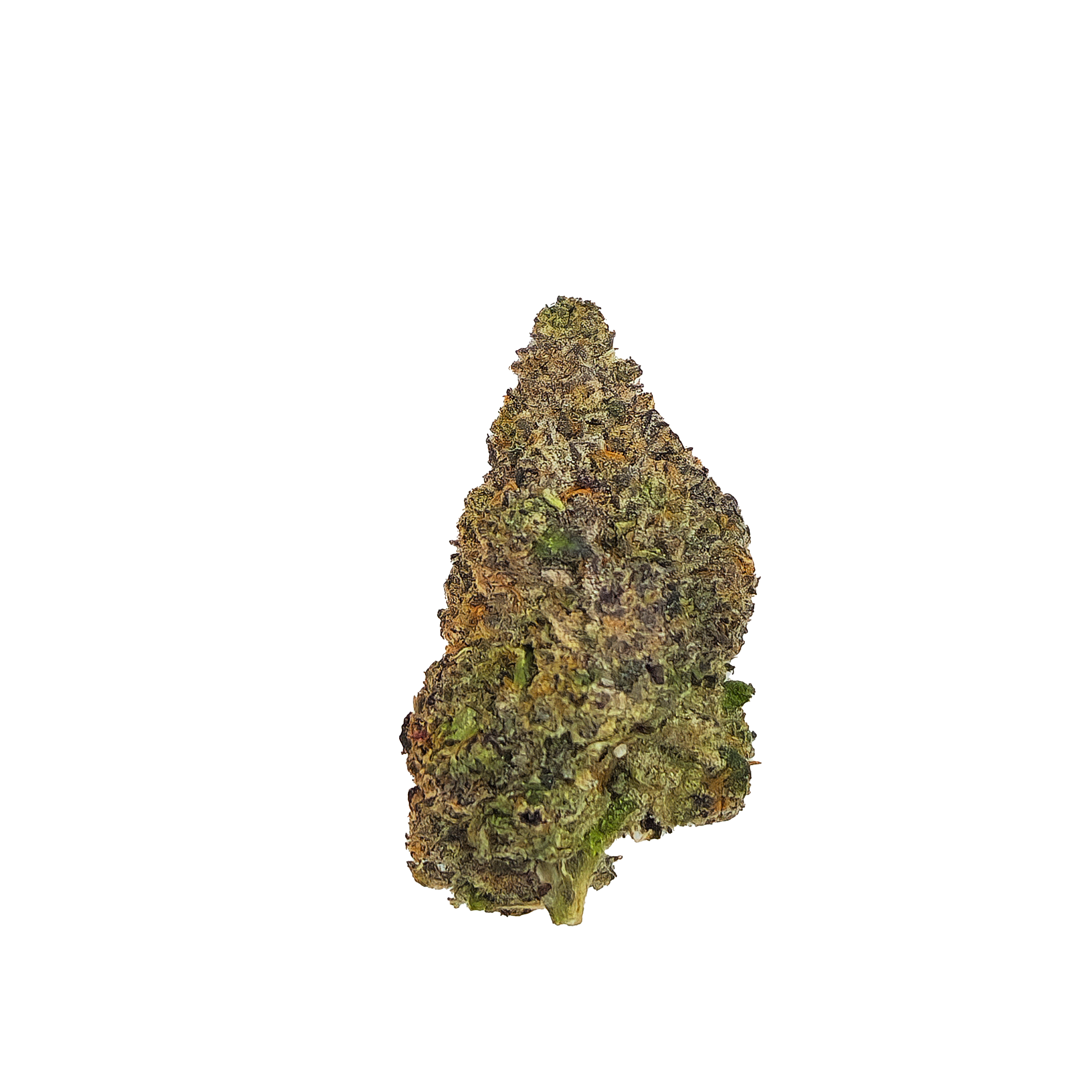 Photograph of product: Sherb Cream Pie | The Hive Flower - 28g