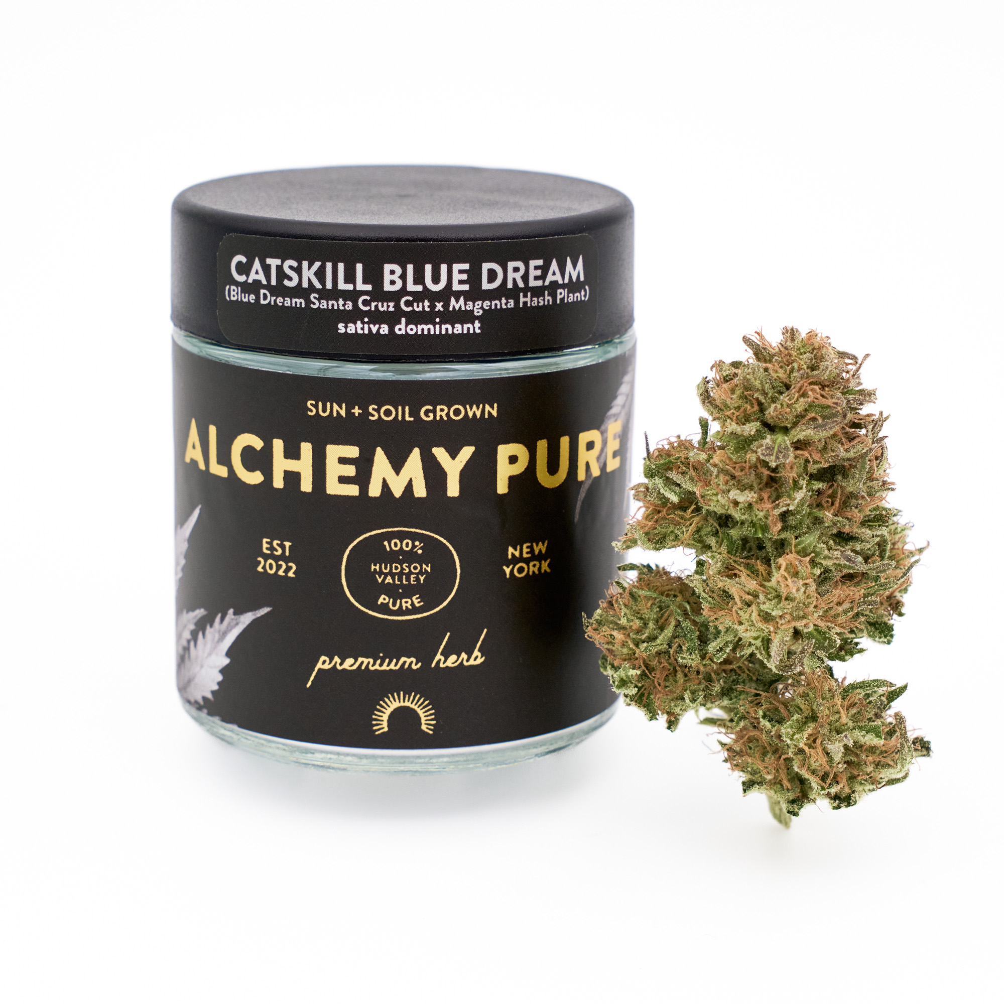 Photograph of product: Alchemy Pure | Catskill Blue Dream - 3.5g