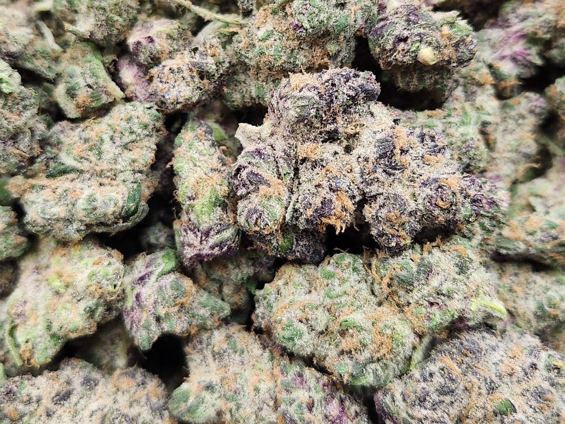 Photograph of product: Fire Tier Deli - MIA Runtz - 1g