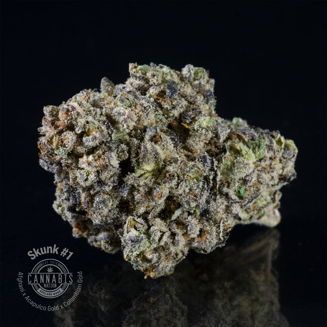 Photograph of product: Flower | Skunk #1 - 28g