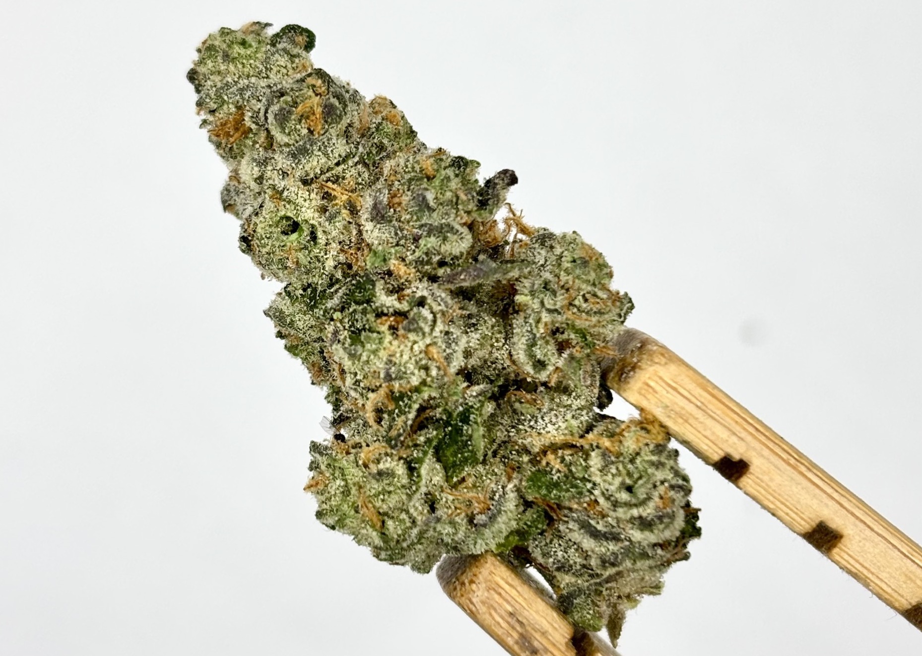Photograph of product: Grown Rogue | Slurty #3 | House Pre-Pack | 3.5g