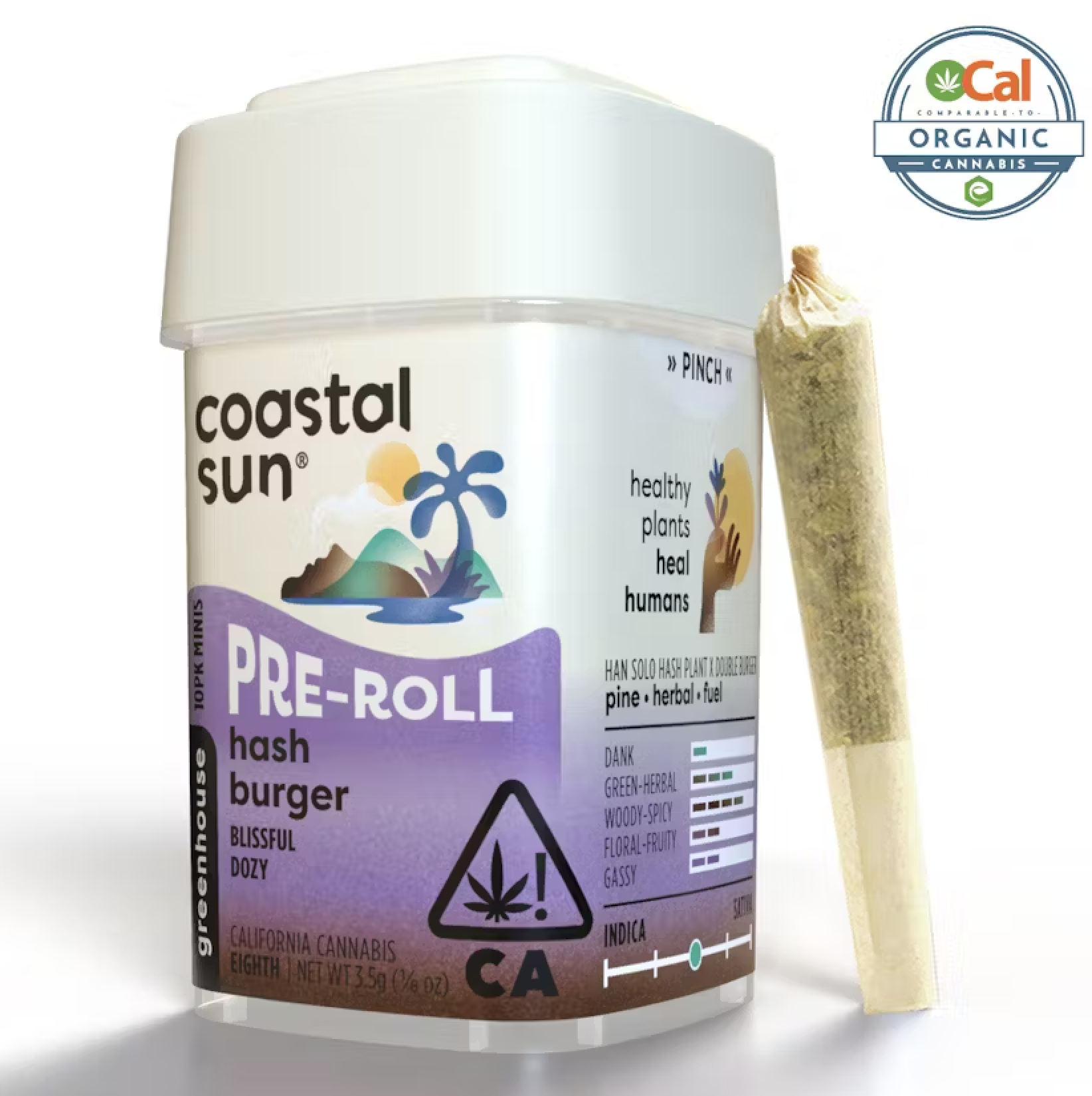 Photograph of product: Coastal Sun Greenhouse Preroll 10pk 3.5g - Hash Burger (H)