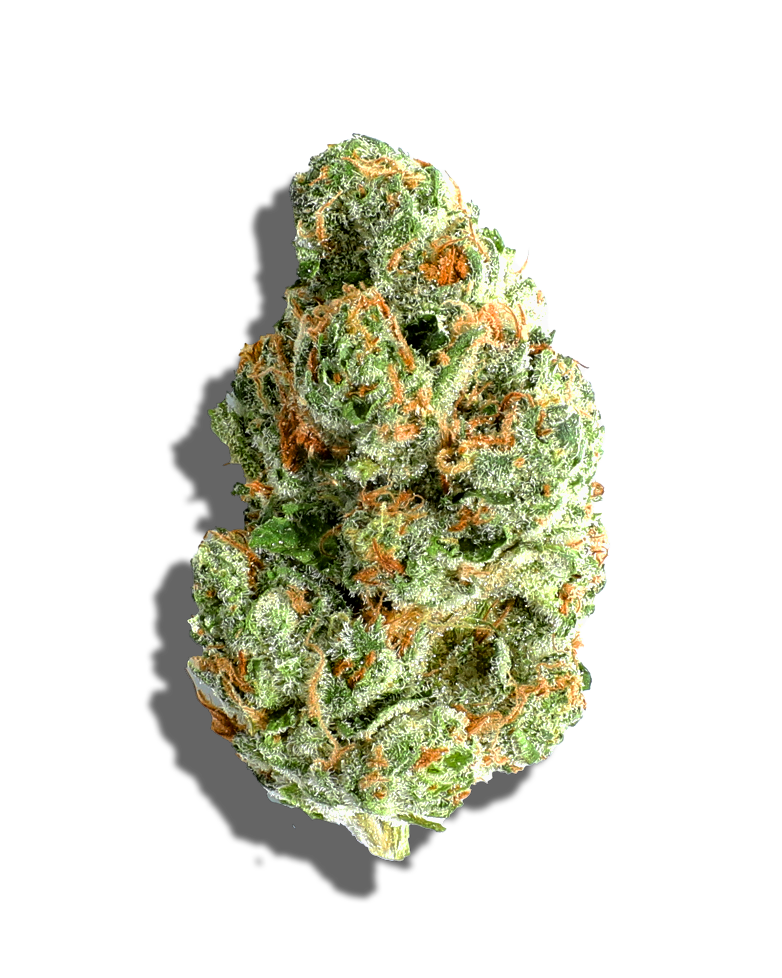 Photograph of product: MINT CHOCOLATE CHIP 1OZ - 28g