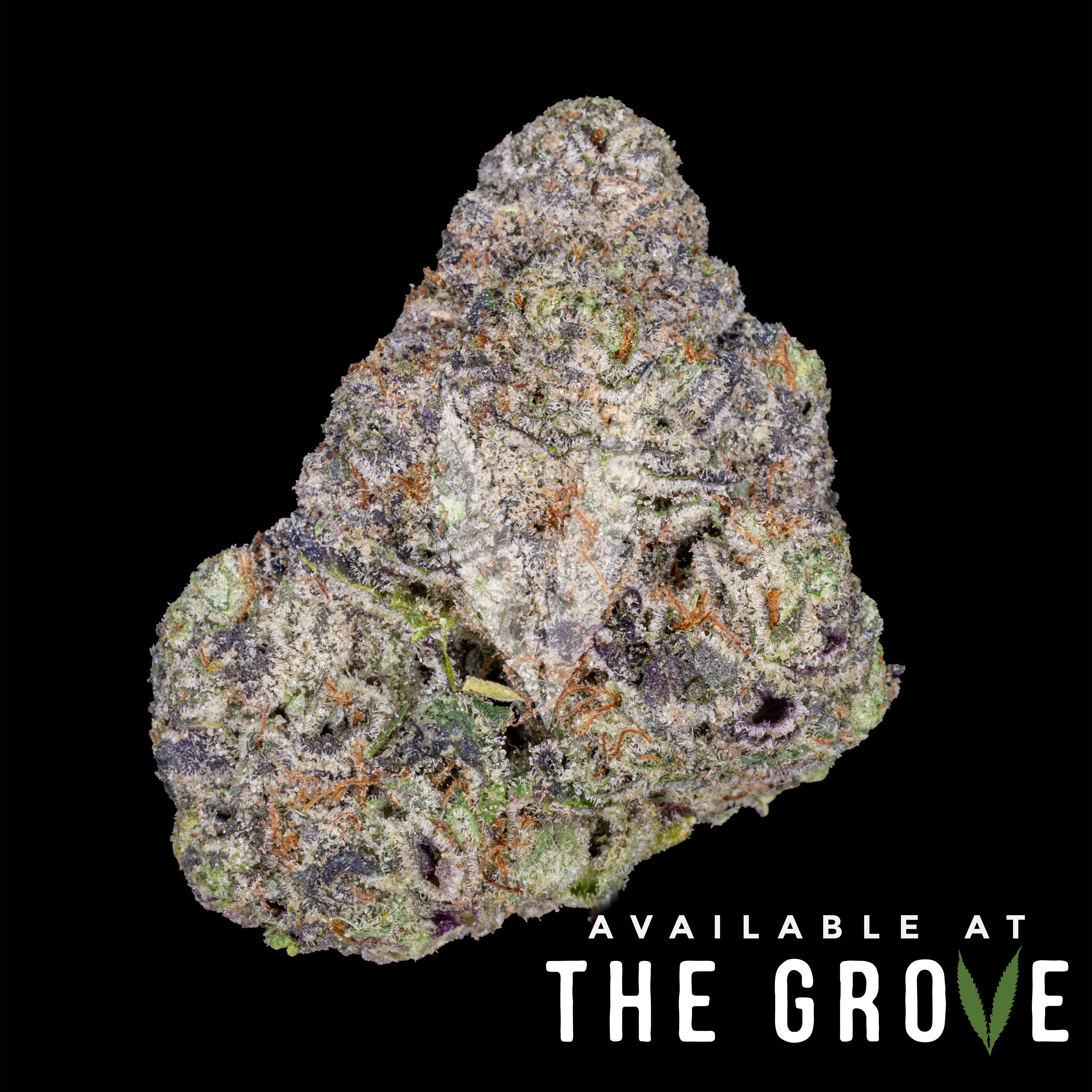 Photograph of product: Top Shelf Cultivation | Whoa si Whoa 1/8ths - 3.5g