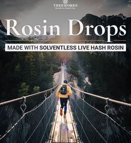 Photograph of product: Rosin Drops I 50ml Tincture