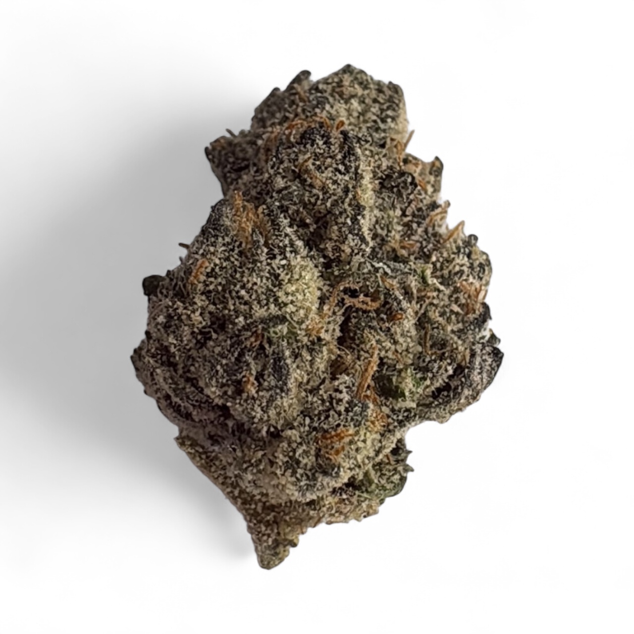 Photograph of product: Bowtique: Lemon Cherry Gummy Boy (H) - 14g