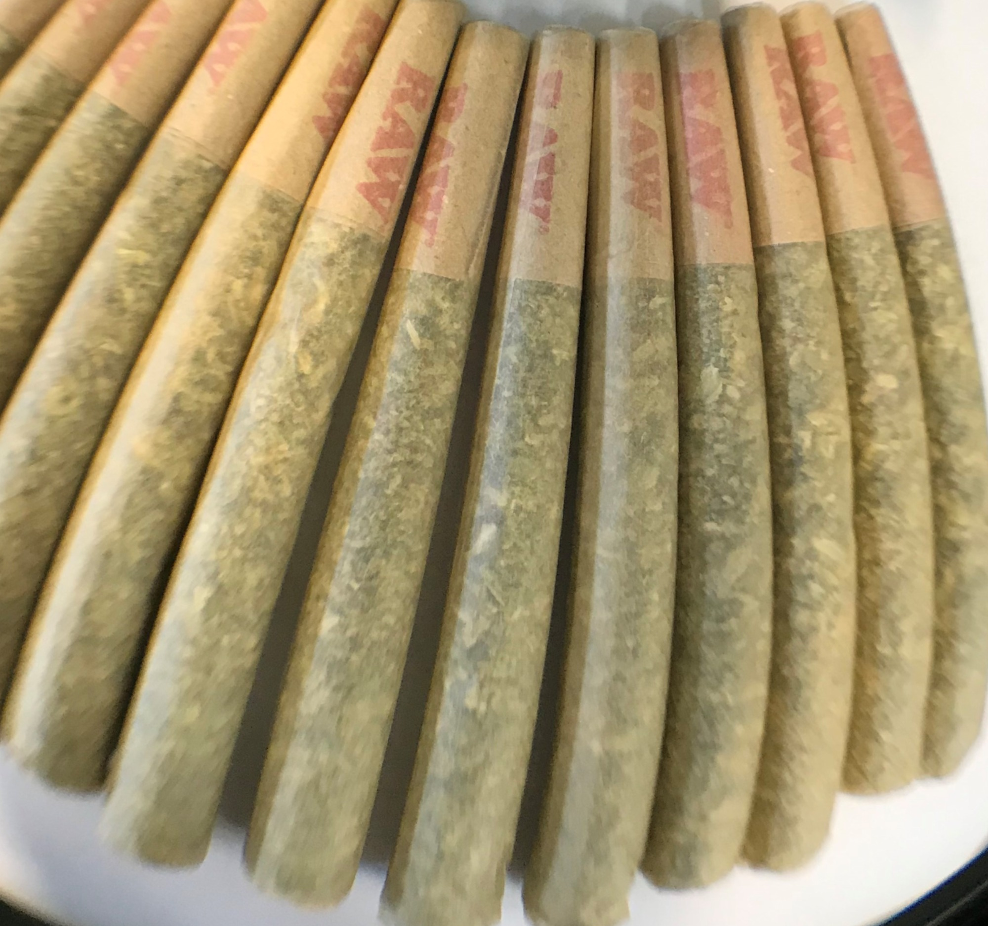 Photograph of product: Ghost Train Haze | 1.9.25 | TPR | 3 pk | SD