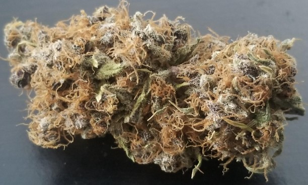 Photograph of product: Orange Tangie - 28g