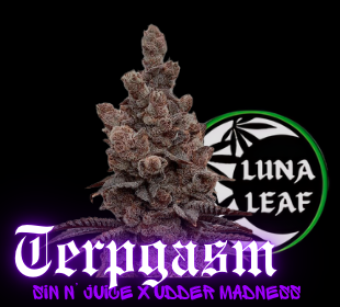 Photograph of product: LUNA LEAF | Blue Cookies | Preroll (I/H)