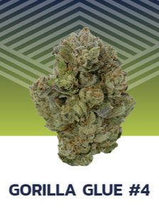 Photograph of product: GG #4 Flower - 28g