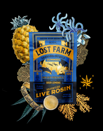 Photograph of product: Golden Pineapple Live Rosin Gummies - Sour Lemons Rosin - 100mg THC - 20 pack