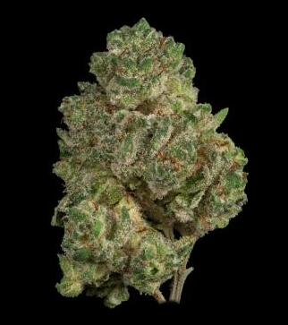 Photograph of Product: Spritzer - 3.5g