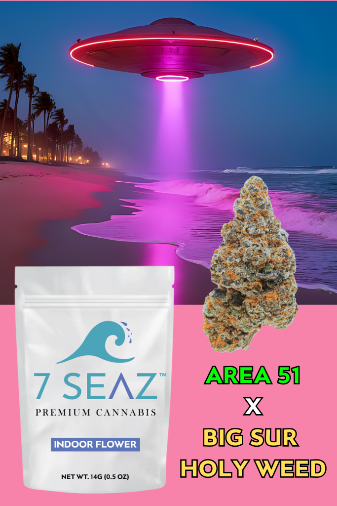 Photograph of product: 7Seaz | Area 51 x Big Sur Holy Oui'd | Flower | Hybrid - 14g