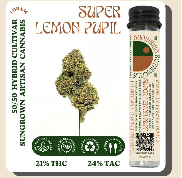 Photograph of product: Super Lemon Pupil