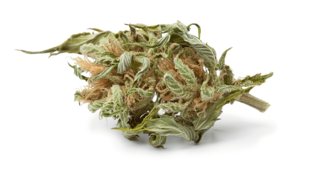 Photograph of product: Banana Mango - 7g
