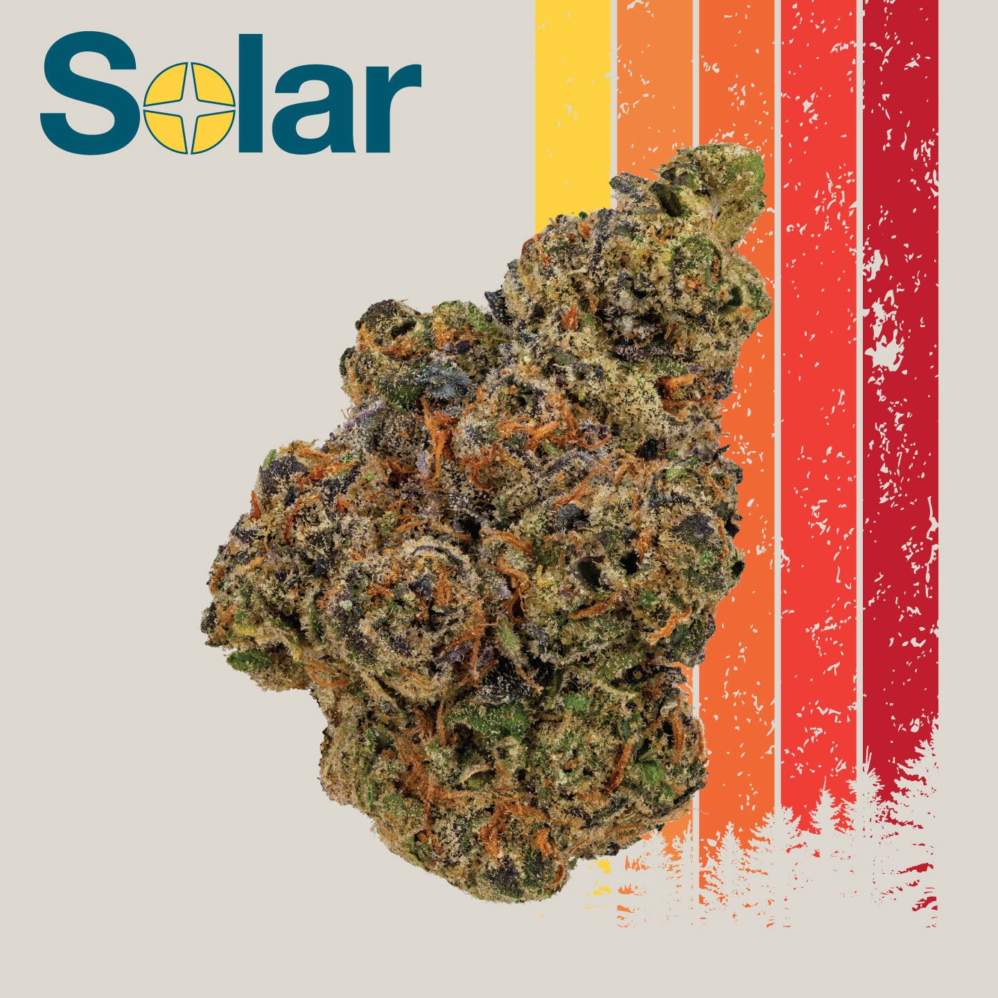 Photograph of product: Apples & Bananas S1 | Solar - 3.5g
