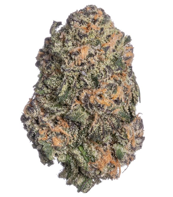 Photograph of product: Flower | Maltese Tiger - 14g