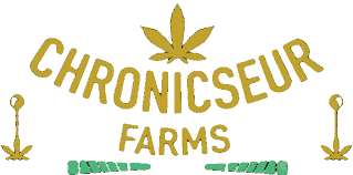 Photograph of product: Chronicseur Drip Stix - Sugar Funk - Infused Preroll