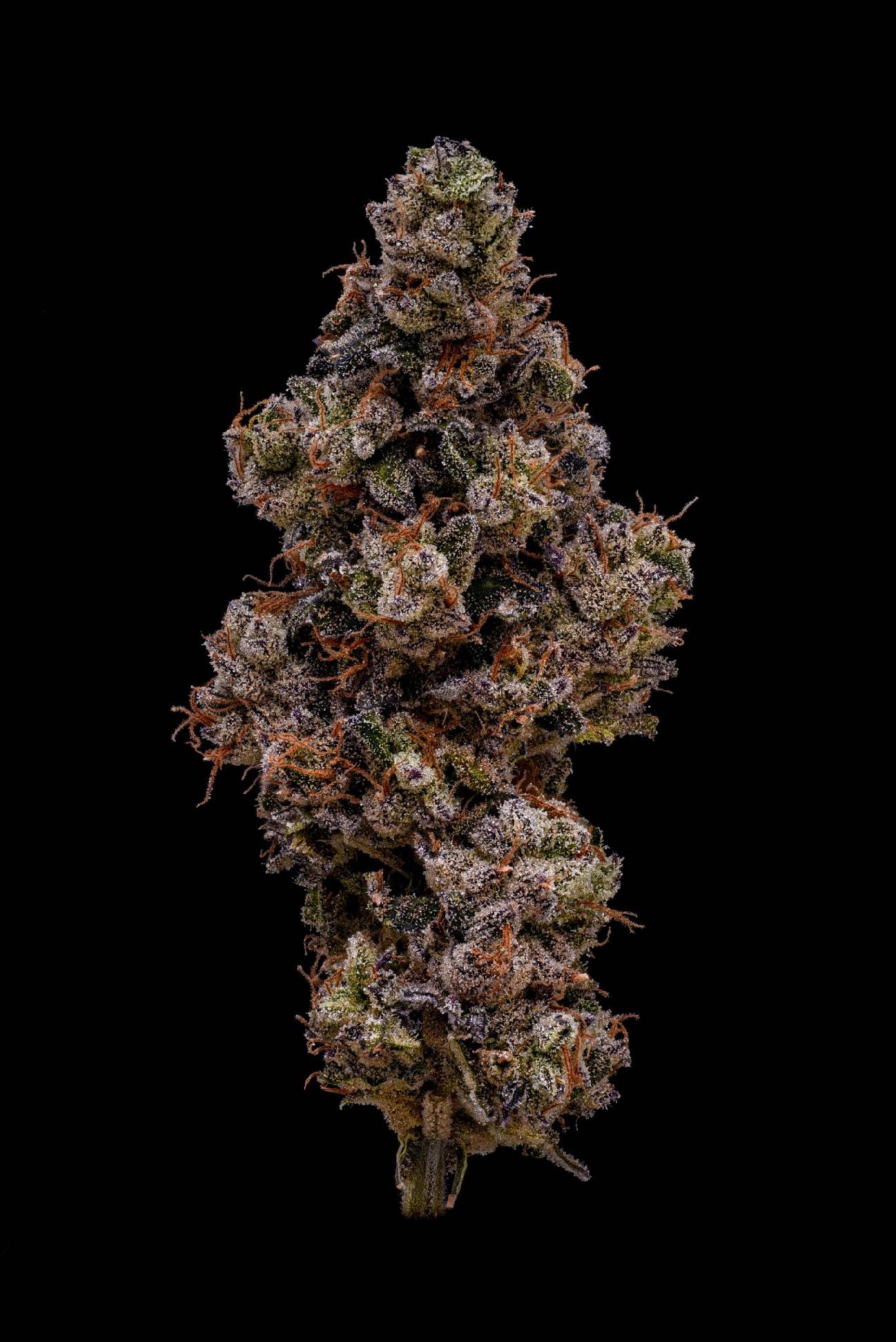 Photograph of product: Hi-Fuel | Mr. Big Stuff | Flower - 28g