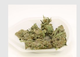 Photograph of product: Moose Meadows | 3.5g | ChemZero