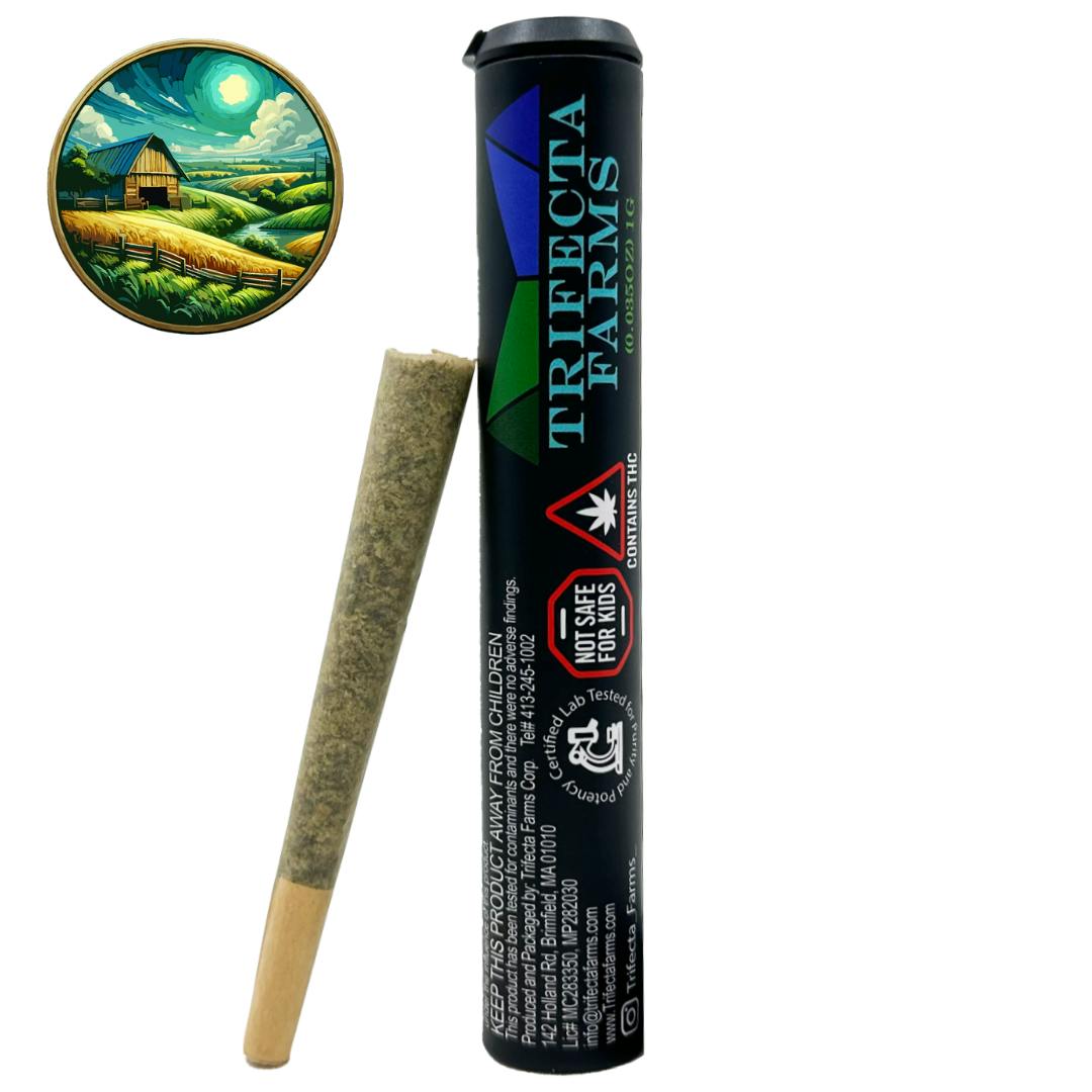 Photograph of product: Gary Payton