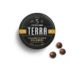 Photograph of product: Kiva Terra Sea Salt Caramel Chocolate Bites 100mg 20pk