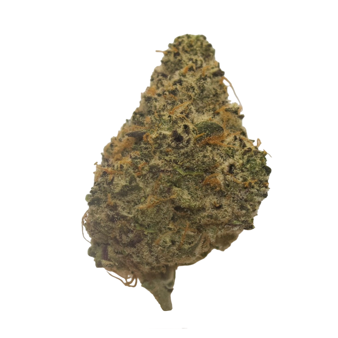 Photograph of product: Garcia Hand Picked Grape Fritter Buds - 1g