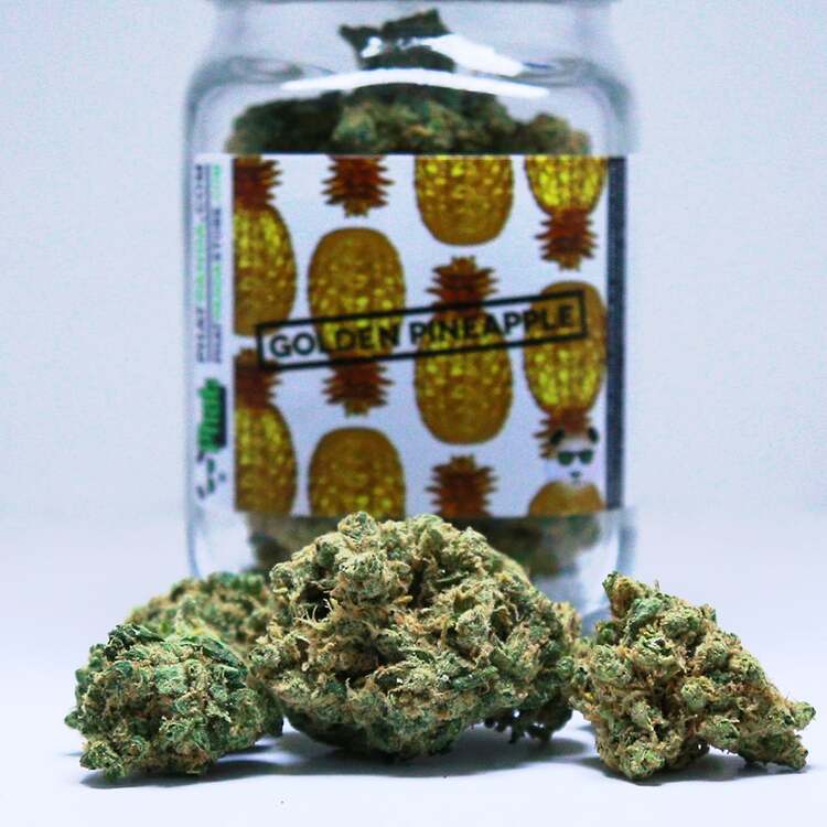 Photograph of product: Bong Buddies: Golden Pineapple - 2g