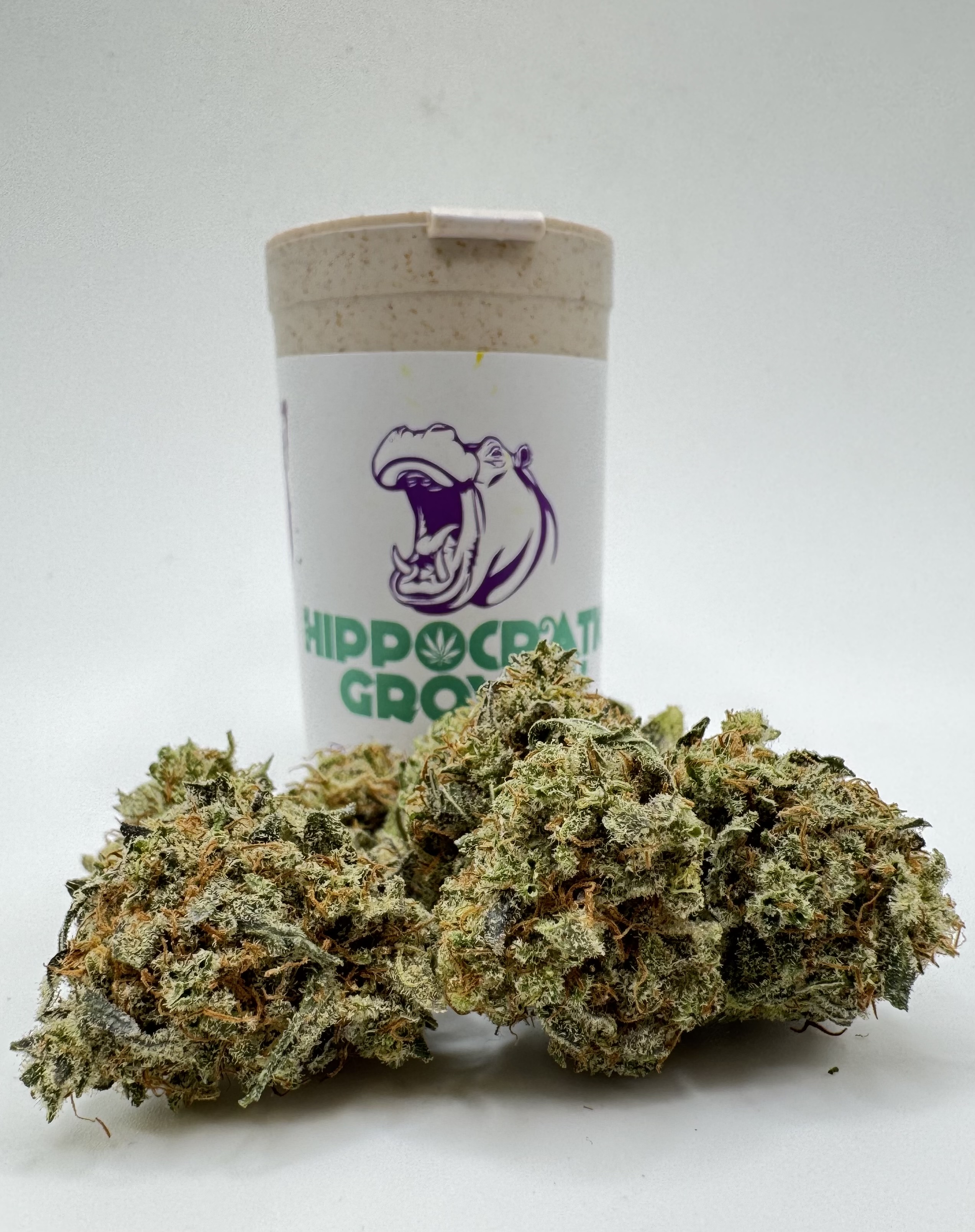 Photograph of product: GMO Runtz Flower - 3.5g